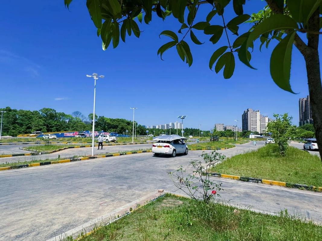 娄底有几个驾考中心在哪里